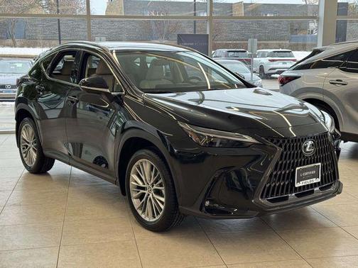 2025 Lexus NX 350 Luxury