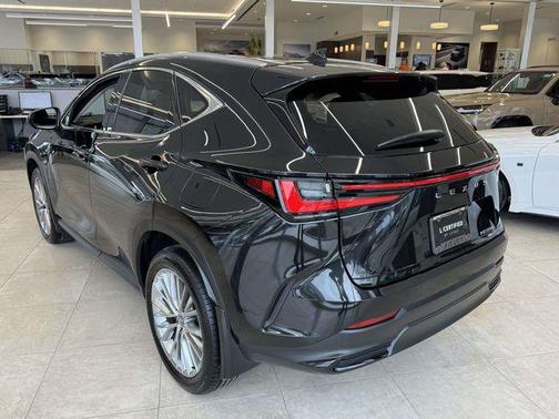 2025 Lexus NX 350 Luxury