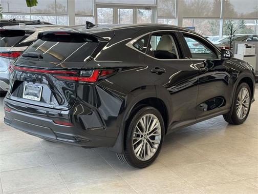 2025 Lexus NX 350 Luxury