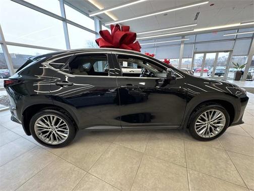 2025 Lexus NX 350 Luxury