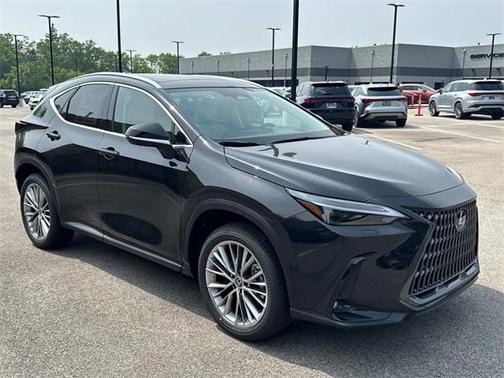 2025 Lexus NX 350 Luxury