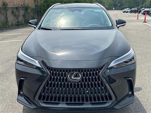 2025 Lexus NX 350 Luxury