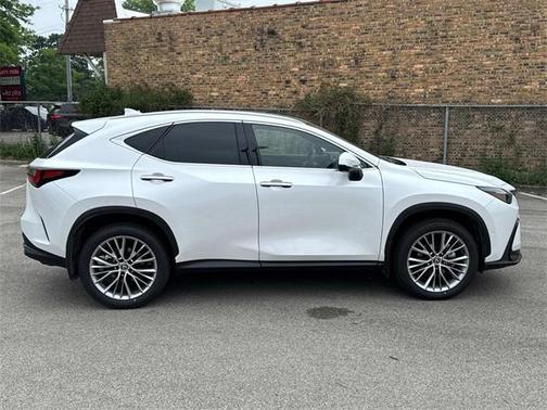 2025 Lexus NX 350h Luxury