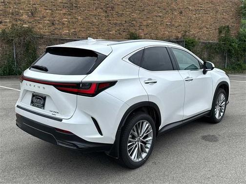 2025 Lexus NX 350h Luxury