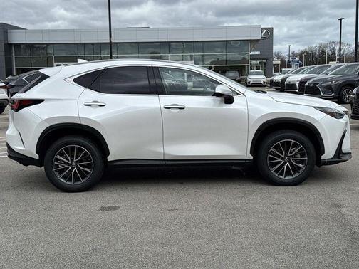 2023 Lexus NX 350h AWD