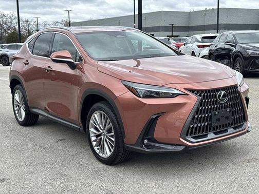 2025 Lexus NX 350h Premium
