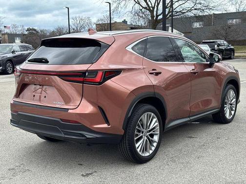 2025 Lexus NX 350h Premium
