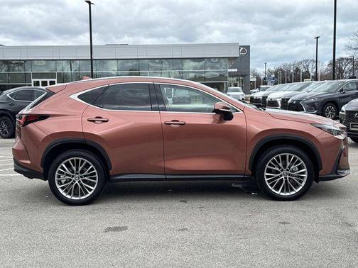2025 Lexus NX 350h Premium