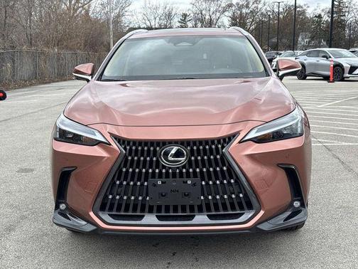 2025 Lexus NX 350h Premium