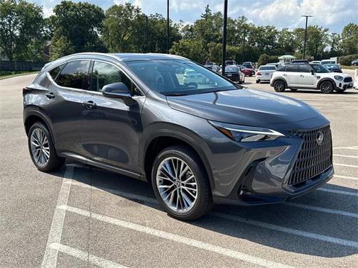 2025 Lexus NX 350h Luxury