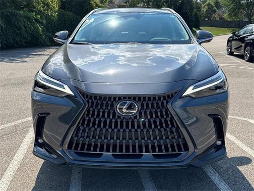 2025 Lexus NX 350h Luxury