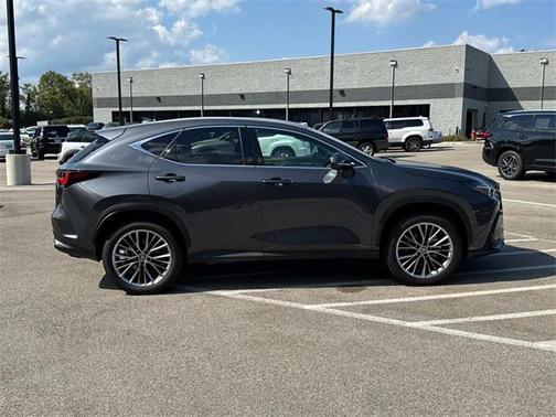 2025 Lexus NX 350h Luxury