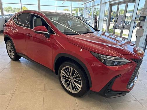2025 Lexus NX 350 Luxury