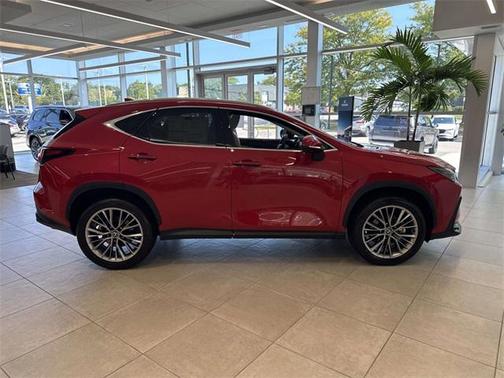 2025 Lexus NX 350 Luxury