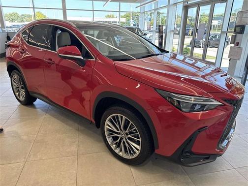 2025 Lexus NX 350 Luxury