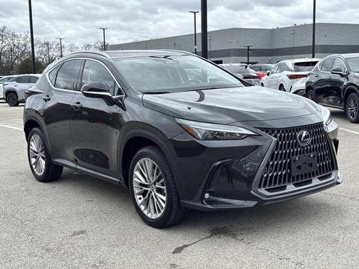 2025 Lexus NX 350h Premium