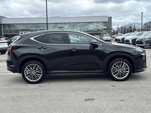 2025 Lexus NX 350h Premium