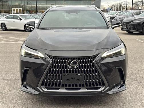 2025 Lexus NX 350 350 Base
