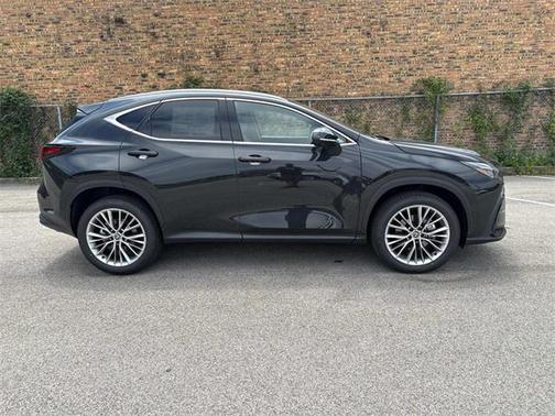 2025 Lexus NX 350 Luxury
