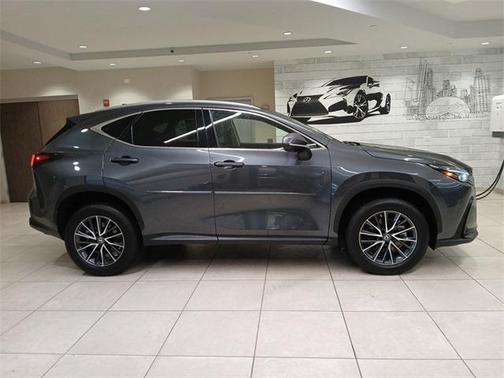 2023 Lexus NX 250 Base