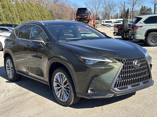 2026 Lexus NX 350h Luxury