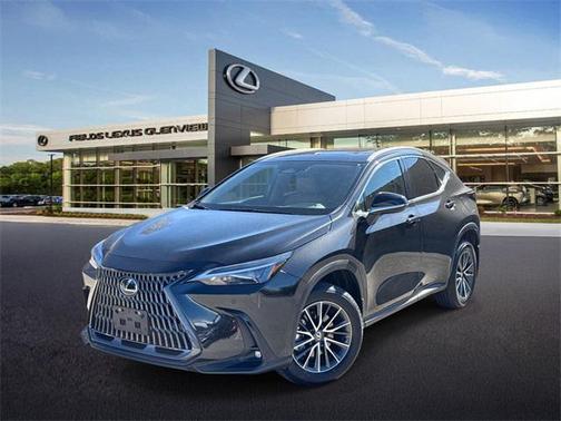 2025 Lexus NX 350 350 Base