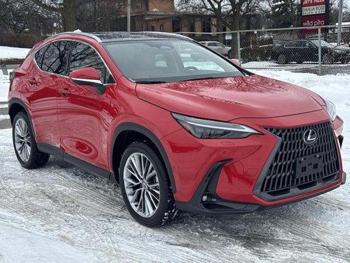 2025 Lexus NX 350 Luxury