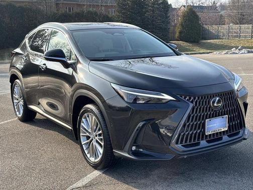 2025 Lexus NX 350 Luxury