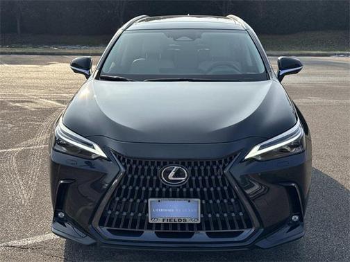 2025 Lexus NX 350 Luxury