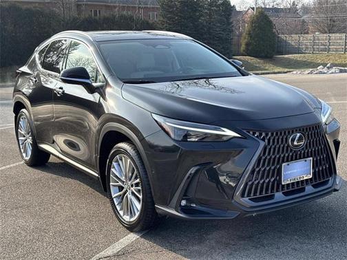 2025 Lexus NX 350 Luxury
