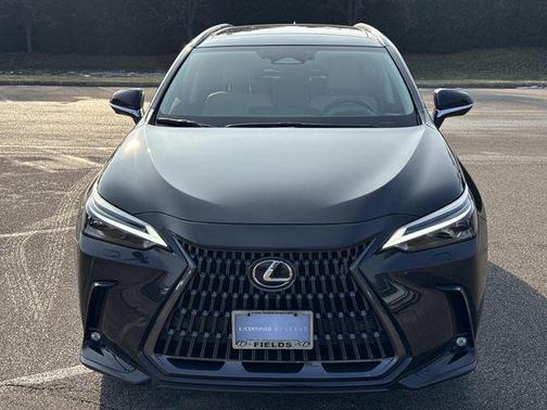 2025 Lexus NX 350 Luxury