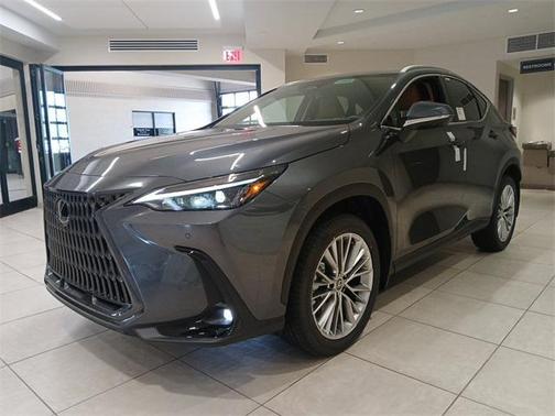 2025 Lexus NX 350 Premium
