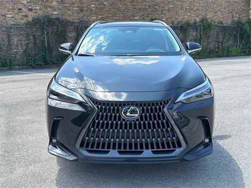 2025 Lexus NX 350 Luxury