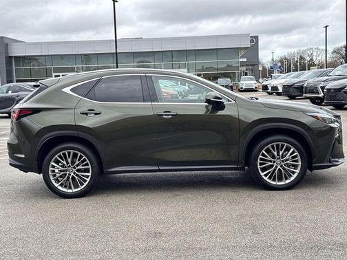 2025 Lexus NX 350h Premium