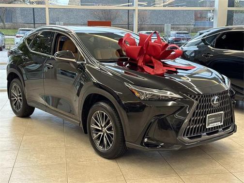2025 Lexus NX 350 350 Base
