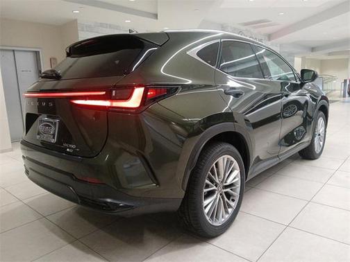 2025 Lexus NX 350 Luxury