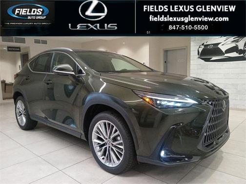2025 Lexus NX 350 Luxury