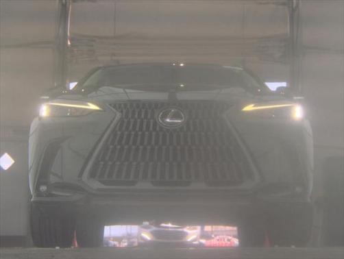 2024 Lexus NX 250 Premium