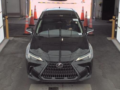 2024 Lexus NX 250 Premium