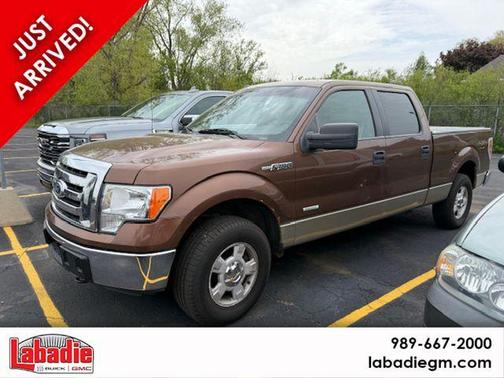 Brown 2011 Ford F-150