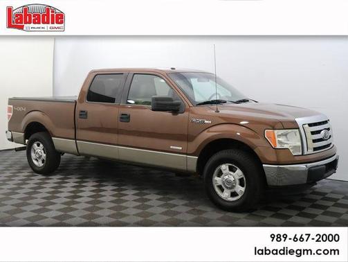 Brown 2011 Ford F-150 XLT