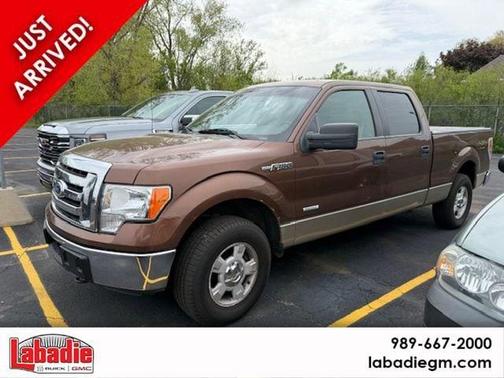 Brown 2011 Ford F-150