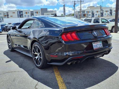 SHADOW BLACK 2020 Ford Mustang EcoBoost