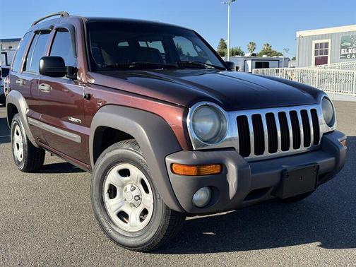 Purple 2004 Jeep Liberty Sport