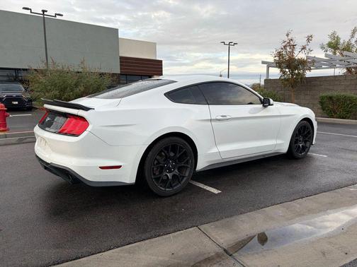 2019 Ford Mustang EcoBoost