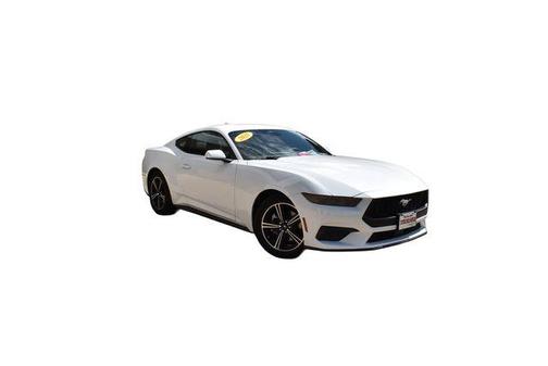 Oxford White 2025 Ford Mustang EcoBoost