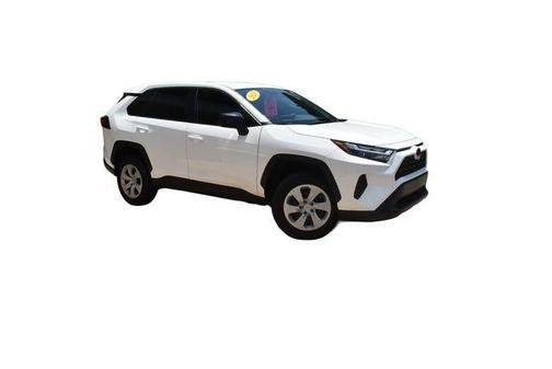 Ice 2025 Toyota RAV4 LE