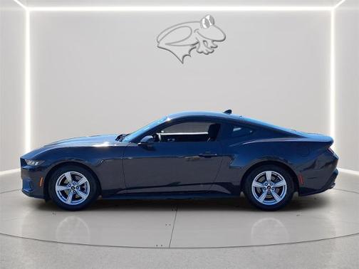 DARK MATTER GRAY METALLIC 2024 Ford Mustang ECOBOOST