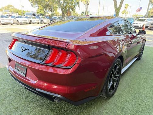 Red 2019 Ford Mustang EcoBoost