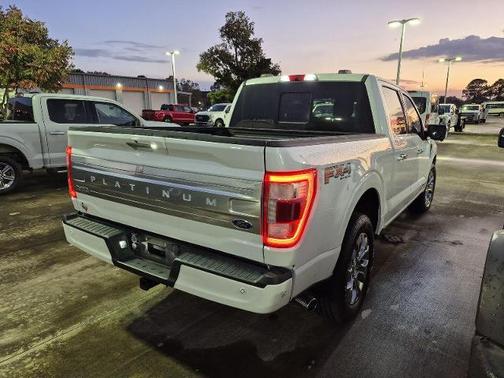 2021 Ford F-150 PLATINUM